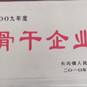 2009年度長溝鎮(zhèn)人民政府骨干企業(yè)